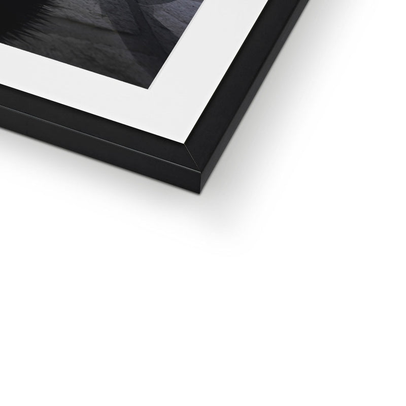 POWER - NO LOGO Framed & Mounted Print - product image detail