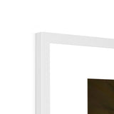 WALTER - NO LOGO - Framed Print - product image detail