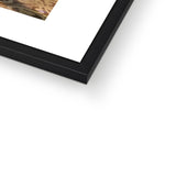 WALTER - NO LOGO - Framed Print - product image detail